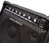** Sale ** Coolmusic DM30 Amplifier