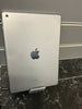 iPad (5th Gen)