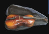 Tatra by Rosetti Strav Model Cello With Forenza Bag