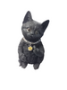 Nemesis Now Cattitude 16.5cm Black Cat Figurine