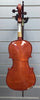 Stentor student violin with bow and carry bag
