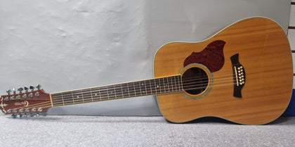 Grafter 12 string electric acoustic DB-12EQ-N