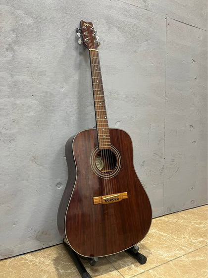 WASHBURN D10M ACOUSTIC GUITAR, DREADNOUGHT BODY, 20 FRET