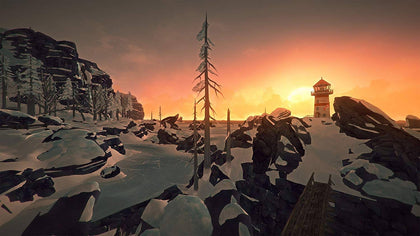 The Long Dark PS4 (Collection Only)