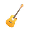 SX SD204CE Eletro-acoustic Guitar w/case COLLECTION ONLY