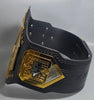 WWE Shop Official NXT BLACK AND GOLD Men’s Replica Championship Belt
