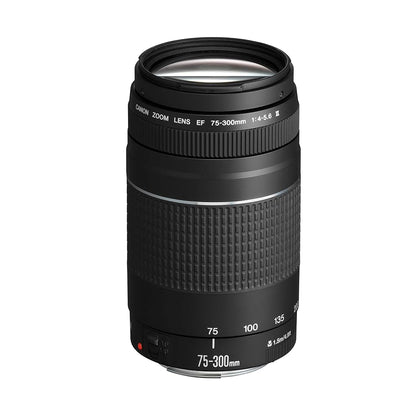 Canon EF 75-300mm f/4-5.6 III Lens