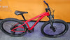Trek Roscoe 6 Hardtail Mountain Bike 2019 - Red 15.5" Frame **Collection Only**