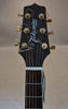 Takamine g series acoustic guitar