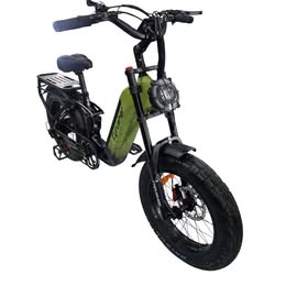 Cyrusher 48V 20AH 20
