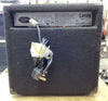 Laney Richter Amp
