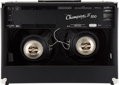 Fender Champion 100 II