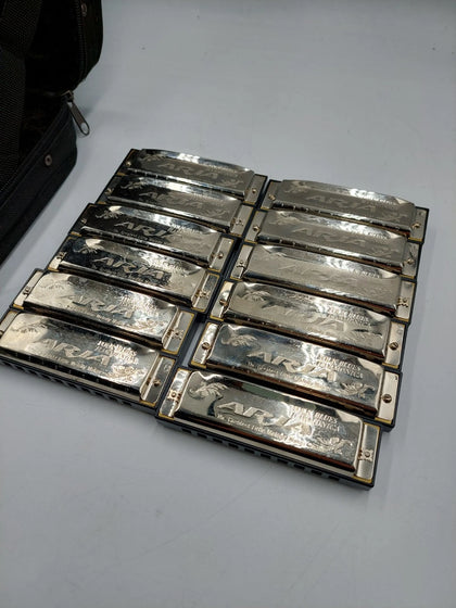 Aria Folk Blues 10-Hole Diatonic Silver Harmonicas Set of 12 - *Original Case*