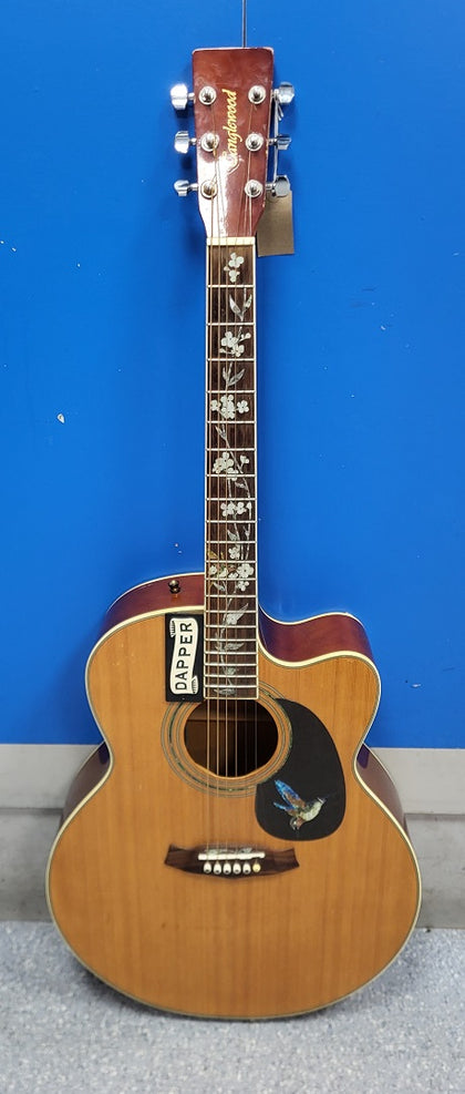 Tanglewood Semi-Acoustic Guitar - Tan