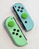 Nintendo Switch Animal Crossing