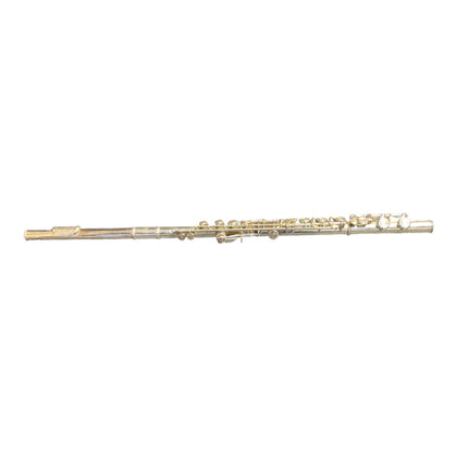Eastar Closed Hole 16 Keys Kids Student Flute With Case