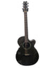 Rainsong PMJ-1000 Acoustic Guitar & Hard Case (Read Description)
