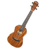 Ferndale UC-E-W Ukulele Concert Electro, Walnut