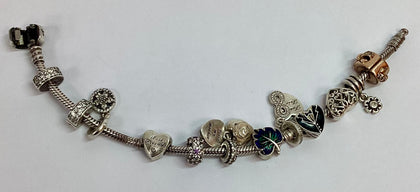 Pandora Charm Bracelet