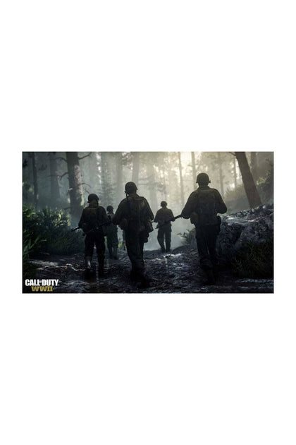 Call Of Duty WWII - PS4 **COLLECTION ONLY**.