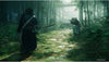 Rise of the Ronin