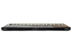 Alesis Recital 88-Key Digital Keyboard