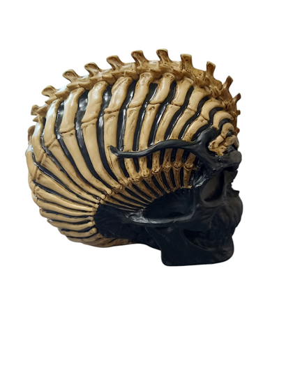 Spine Head Skull (JR) 18.5cm