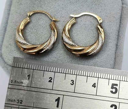 9ct Gold 2 Tone Earrings