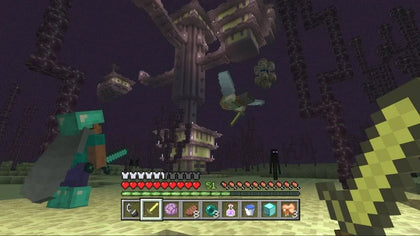 Minecraft - PS4