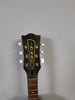 Eko Ranger VI VR Acoustic, Natural