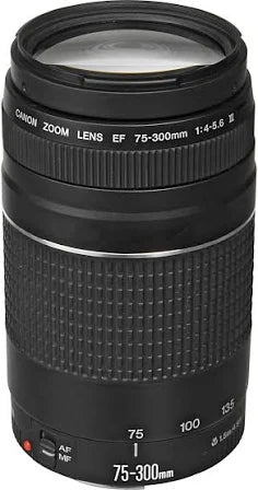 Canon EF 75-300mm f/4-5.6 III Lens