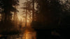 Alan Wake 2 XboxOne