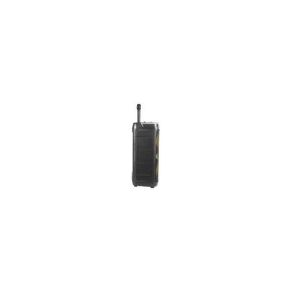 Ibiza Columba Karaoke Pa Speaker 1000W Dual Wireless Microphone Bluetooth [Collection Only][Boston]