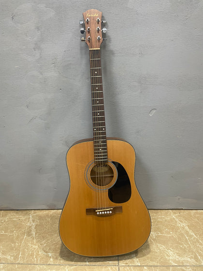 Farida D-8X0P Acoustic Guitar