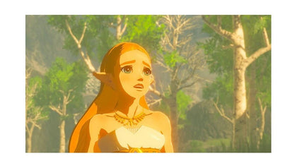 The Legend of Zelda:Breath of the Wild