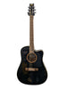 Washburn D10CSER Guitar