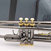 J. Michael Bb Trumpet – Brass Musical Instrument Outfit – With Carry Case