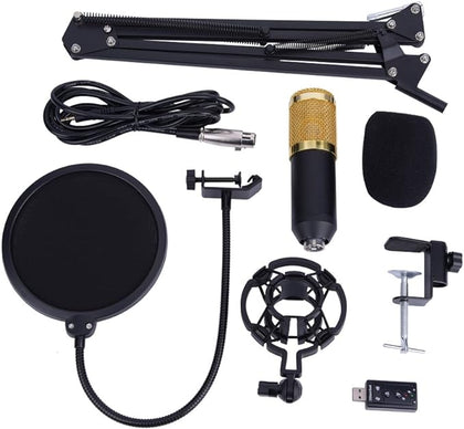 Professional Condenser Microphone