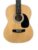 Martin Smith Acoustic