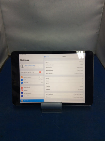 iPad mini 2