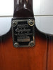 Epiphone thunder bird