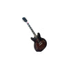 Pyleusa electric guitar