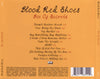 Blood Red Shoes - Box of Secrets