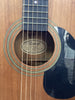 Vantage VIS-1 Acoustic Guitar