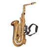 Trevor James Alpha Saxophone w/case