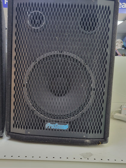 ProSound 10 Passive 350W RMS 8 Ohm Poly-carbonate Installation Speaker