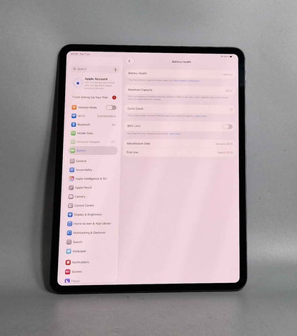 Apple Ipad Pro 13