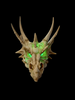 Lumo Dragon Skull-Nemesis Now