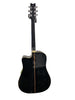 Washburn D10CSER Guitar