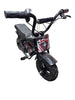 OneMonkey™ | EX1S | 250W | 24V | Electric Monkey Motorbike